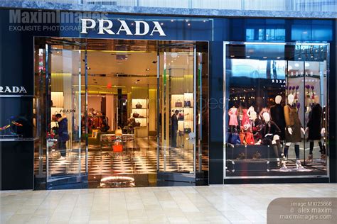 where to buy prada in canada